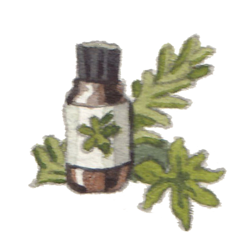 sukasantai-map-essentialoil